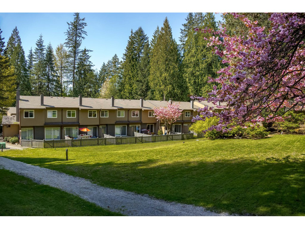 3701 Princess Avenue, North Vancouver, BC
Townhome Rental Complex | 57 Units on  9.43 Acres
Close to Upper Lonsdale and Lynn Valley Town Centre

Status: SOLD (April 2022)